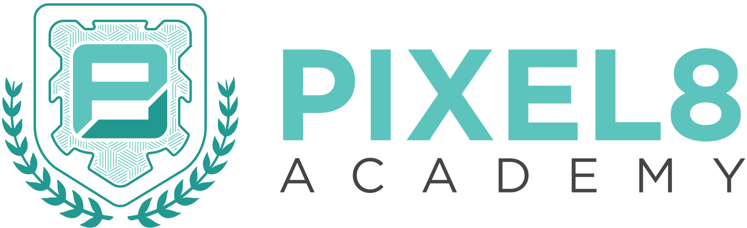 Pixel8 Academy
